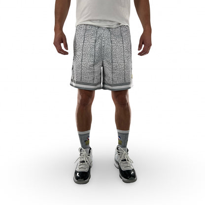 Macker Raptors Elephant Marching Short Fuchsia White/Grey Model